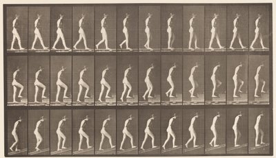 tábla 482. A, Séta; B, felszálló lépcsők; C, növekvő lejtő, 1872-1885 alkotó: Eadweard Muybridge