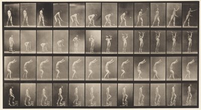 tábla 488. A, Gyeptenisz; B, Dumb Bells; C, Walking on Hands;, 1872-1885 alkotó: Eadweard Muybridge
