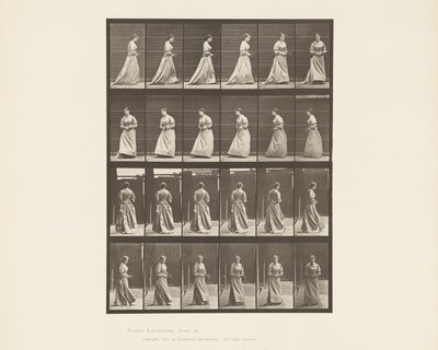48. tábla. Sétáló és megforduló csokor két kézben, 1885 alkotó: Eadweard Muybridge
