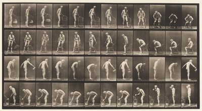 tábla 490. A, Ülés; B, Ülés; C, permetező víz alkotó: Eadweard Muybridge