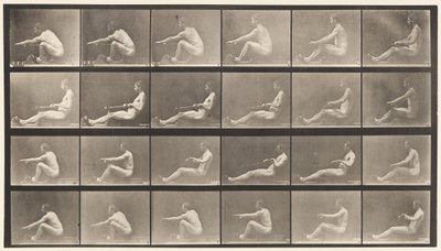 tábla 492. A alkotó: Eadweard Muybridge