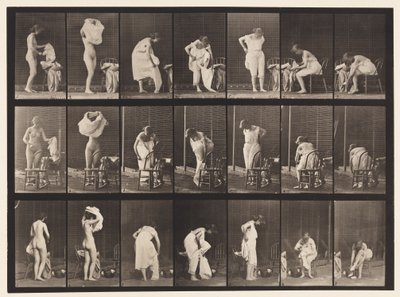 493. tábla. A WC vegyes fázisai, 1872-1885 alkotó: Eadweard Muybridge