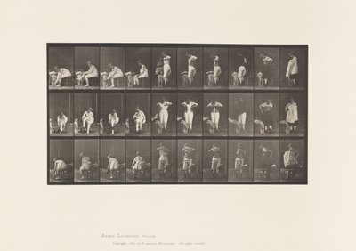 494. tábla. A WC vegyes fázisai alkotó: Eadweard Muybridge