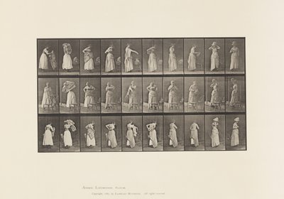 495. tábla. A WC vegyes fázisai alkotó: Eadweard Muybridge