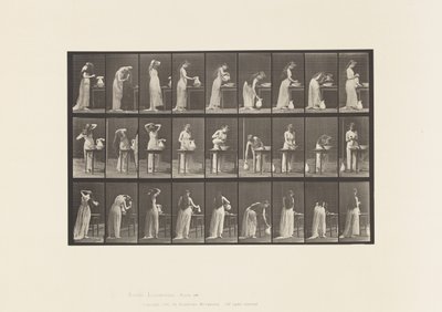 496. tábla. A WC vegyes fázisai, 1885 alkotó: Eadweard Muybridge