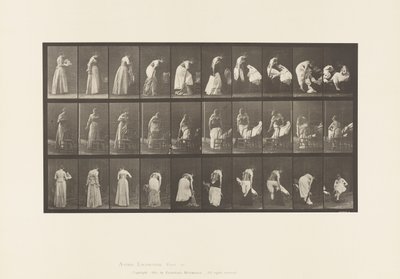 497. tábla. A WC vegyes fázisai, 1885 alkotó: Eadweard Muybridge