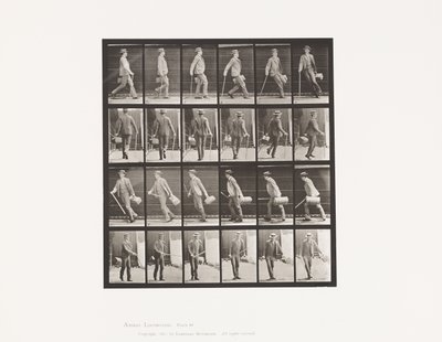 49. tábla. Gyors járás és megfordulás alkotó: Eadweard Muybridge
