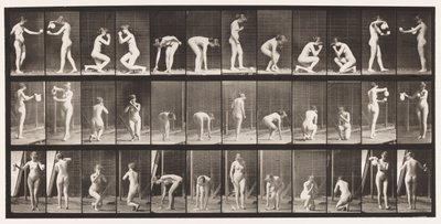 501. tányér. Vegyes, hajló, térdelő stb. alkotó: Eadweard Muybridge