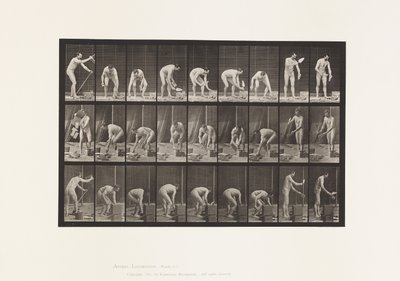 tábla 505. Kőműves alkotó: Eadweard Muybridge