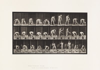 tábla 506. Kőműves alkotó: Eadweard Muybridge