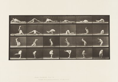 510. tábla. Kontorok a földön, 1872-1885 alkotó: Eadweard Muybridge
