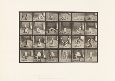 511. tábla. Eltorzulások a talajon alkotó: Eadweard Muybridge