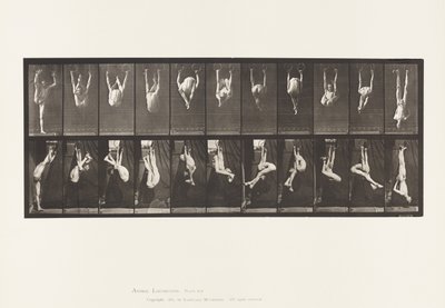 512. tábla. Gyűrűk eltorzulása alkotó: Eadweard Muybridge