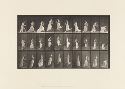 515. tábla. Felmenő és leszálló lépcsők stb., 1885 alkotó: Eadweard Muybridge