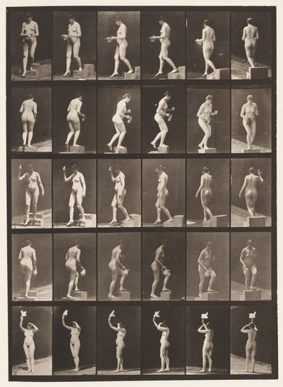 525. A. tábla, leszálló lépcső; B, Ascending Step;, 1872-1885 alkotó: Eadweard Muybridge