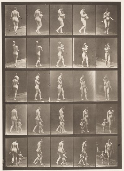 tábla 528. A,B,C alkotó: Eadweard Muybridge