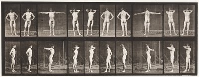 529. tábla. Különféle pózok alkotó: Eadweard Muybridge