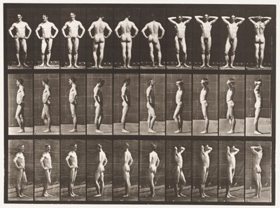 530. tábla. Különféle pózok alkotó: Eadweard Muybridge
