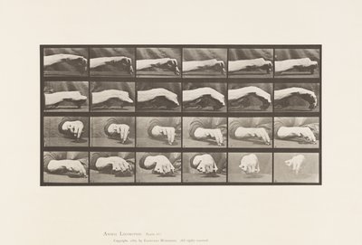 532. tábla. A kéz mozgása; Körrajz, 1885 alkotó: Eadweard Muybridge