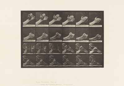 533. tábla. A kéz mozgása; Kézkulcsolás, 1885 alkotó: Eadweard Muybridge