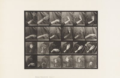 535. tábla. A kéz mozgása; Ütési idő, 1885 alkotó: Eadweard Muybridge
