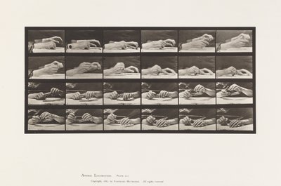536. tábla. A kéz mozgása; Kezét változó ceruza alkotó: Eadweard Muybridge