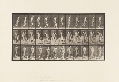 537. tábla. A láb egyszeri amputációja; Mankóval ugrálás alkotó: Eadweard Muybridge