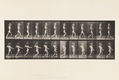 540.A tábla, íjlábak; Fiú; B, gerincszuvasodás; Sétáló lány, 1885 alkotó: Eadweard Muybridge