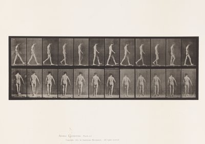 546. tábla.Mozgásszervi ataxia; Séta, 1885 alkotó: Eadweard Muybridge
