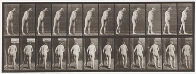 tábla 547.Hemiplegia; Séta mankóval, 1885 alkotó: Eadweard Muybridge