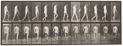 549. tábla.Epilepszia; Séta, 1885 alkotó: Eadweard Muybridge
