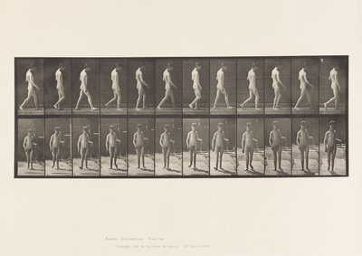 551. tábla.Epilepszia; Séta, 1885 alkotó: Eadweard Muybridge