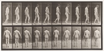 553. tábla. Fej traumája után; Séta, 1885 alkotó: Eadweard Muybridge