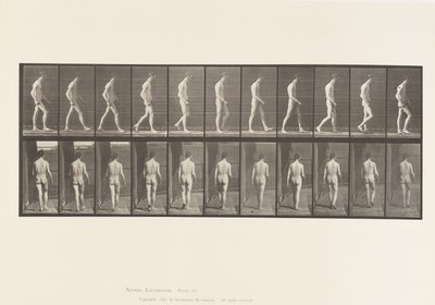 554. tábla.Mozgásszervi ataxia; Séta, 1885 alkotó: Eadweard Muybridge