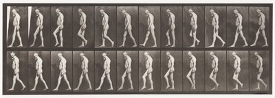 555. tábla. A lábak izomsorvadása; Felnőtt, A,B, Séta, 1885 alkotó: Eadweard Muybridge