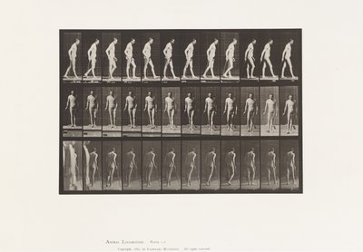 559. tábla. Disszeminált szklerózis; Séta Cane-val alkotó: Eadweard Muybridge