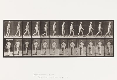 562. tábla. Gerinc oldalirányú görbülete; Séta alkotó: Eadweard Muybridge