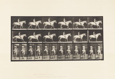 582. tábla. Séta;Nyereg; Rider, 43 éves, akt; Világosszürke Horse Smith alkotó: Eadweard Muybridge