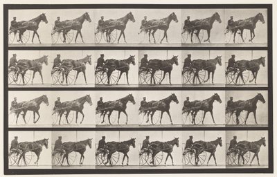 587. tábla.Séta; Duzzogó; Sóska Kanca Nellie Rose, 1885 alkotó: Eadweard Muybridge