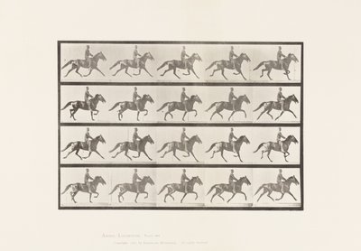 Tányér 591.Ringató alkotó: Eadweard Muybridge