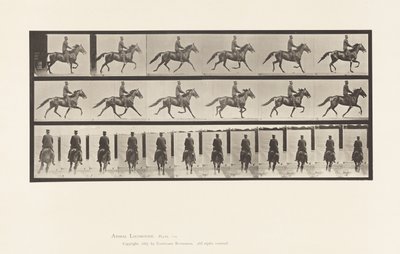592. tányér. Ringató (Pacing): Nyereg; Brown Horse Pronto alkotó: Eadweard Muybridge