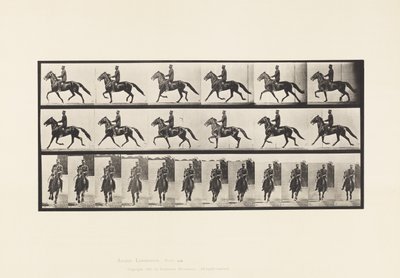 593. tányér. Ringató (Pacing): Nyereg; Brown Horse Pronto alkotó: Eadweard Muybridge