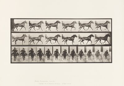 594. tányér. Ringató (Pacing): Sulky; Brown Horse Pronto alkotó: Eadweard Muybridge