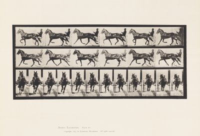 595. tányér. Ringató (Pacing): Sulky; Brown Horse Pronto alkotó: Eadweard Muybridge