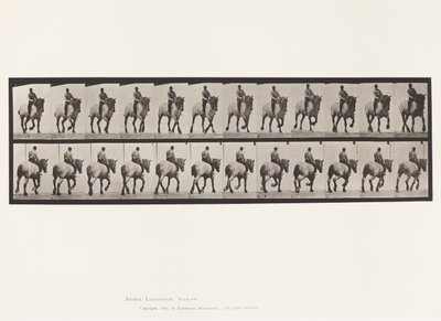 Tányér 599. Ügető; Csupasz hátú; Sötétszürke Dusel alkotó: Eadweard Muybridge