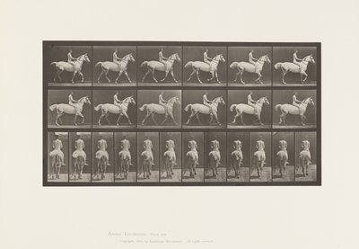 602. tányér.Ügető;Mezíthátú; Lovas, 43, akt; Világosszürke Horse Smith, 1885 alkotó: Eadweard Muybridge