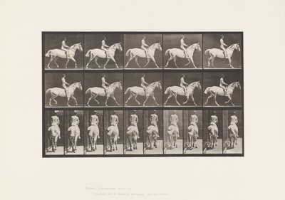 Tányér 603. Ügető; Nyereg; Ride, 43, széles, világosszürke Horse Smith alkotó: Eadweard Muybridge