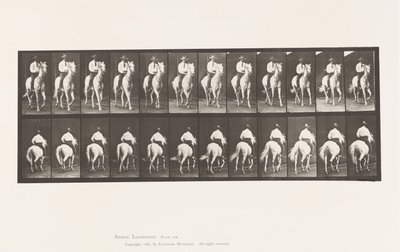 Tányér 604. Ügető; Nyereg; Fehér Ló, Elberon alkotó: Eadweard Muybridge