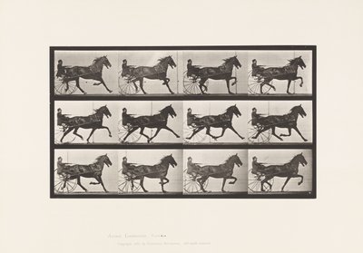 tábla 606. Ügető; Duzzogó; Bay Horse, Reuben alkotó: Eadweard Muybridge
