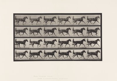 tányér 608. Ügető; Duzzogó; Sarrel Mare, Flode Holden alkotó: Eadweard Muybridge